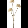 Outlet ILVA Allium 2024 Kunstig plante 58 x 14 cm