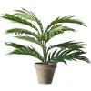 Hot ILVA Areca Palm Kunstig plante 60 x 45 x 60 cm