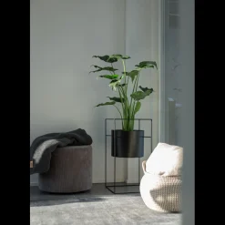 Best ILVA Asir Kurv sæt med 2 stk