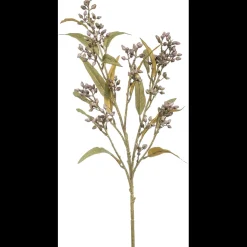 Outlet ILVA Eucalyptus Kunstig plante 68 x 19 cm
