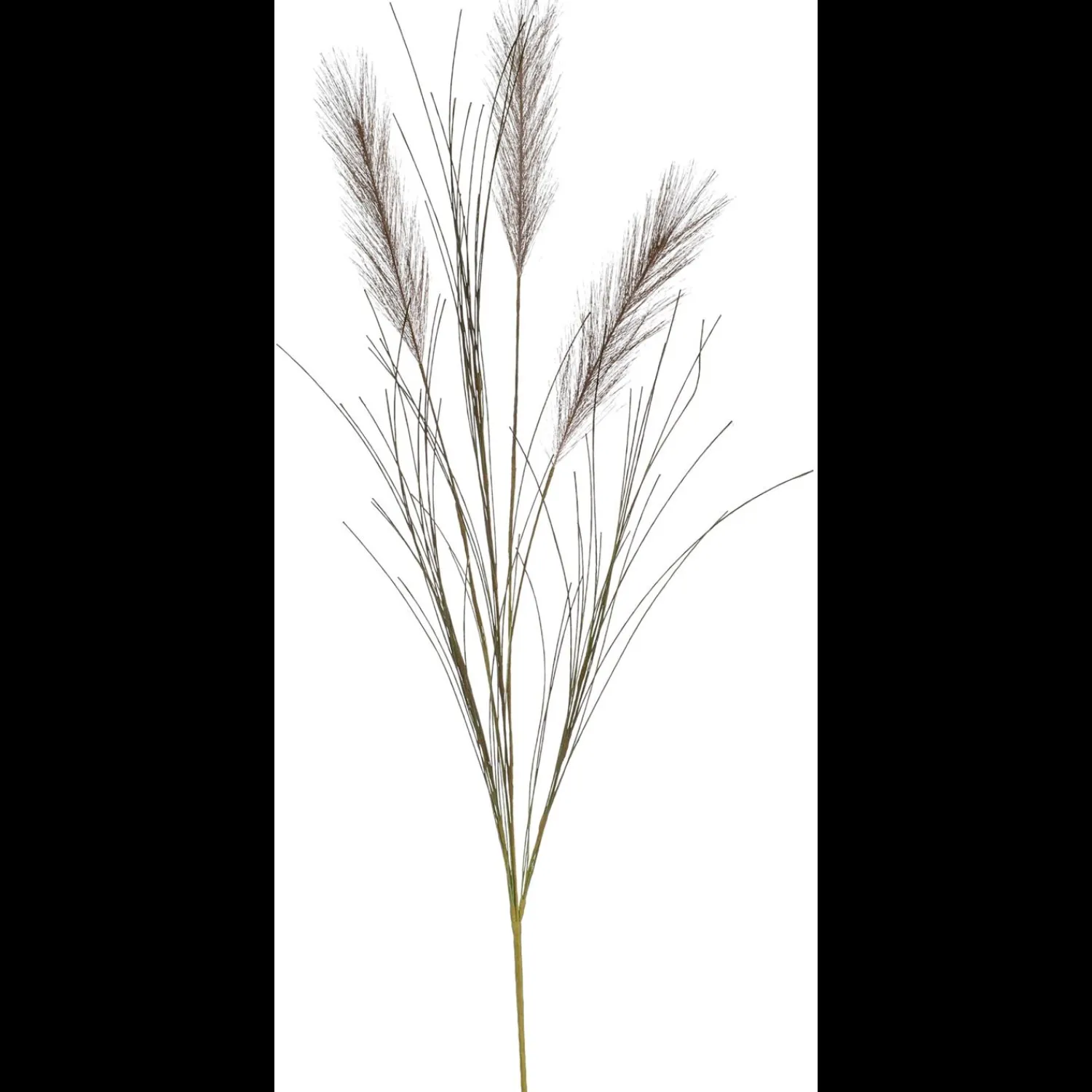 ILVA Pampas Kunstig plante 70 cm