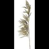 Clearance ILVA Pampas Kunstig plante 125 cm