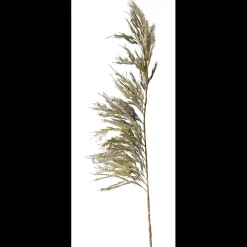 Clearance ILVA Pampas Kunstig plante 125 cm
