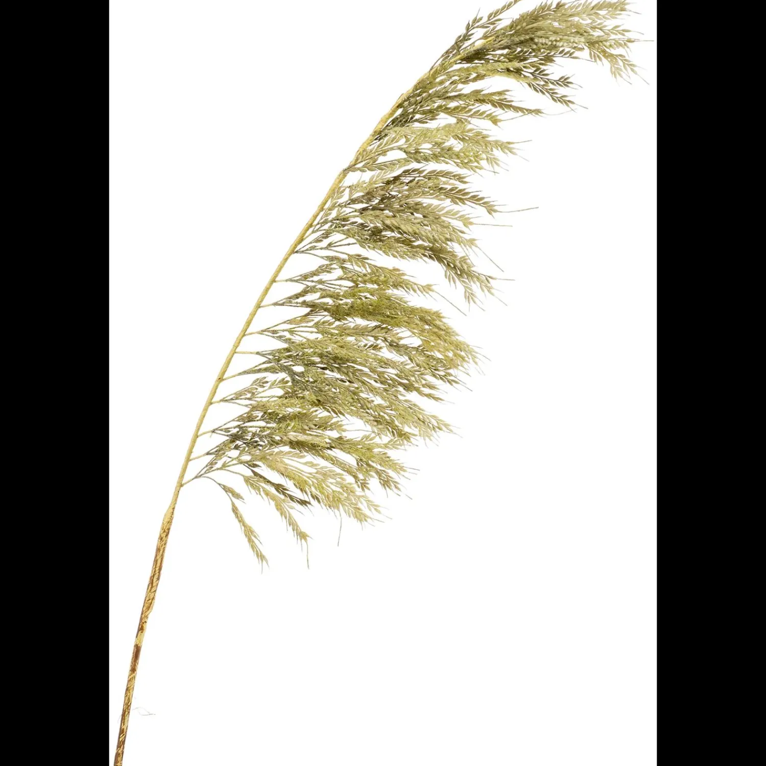 Clearance ILVA Pampas Kunstig plante 125 cm