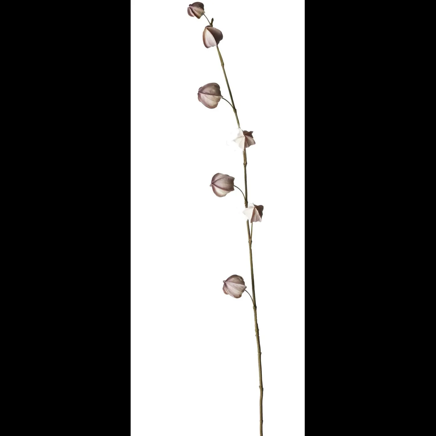 Hot ILVA Physalis Kunstig plante 60 cm