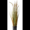 Online ILVA Plume Grass Kunstig plante 92 x 35 cm