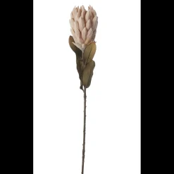 Outlet ILVA Protea Kunstig plante 62 cm