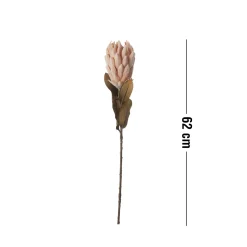 Outlet ILVA Protea Kunstig plante 62 cm
