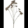 Online ILVA Røllike Kunstig plante 72 x 27 cm