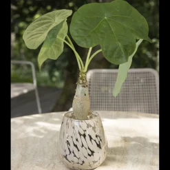 New ILVA Vidrun Vase 15 x 15 cm